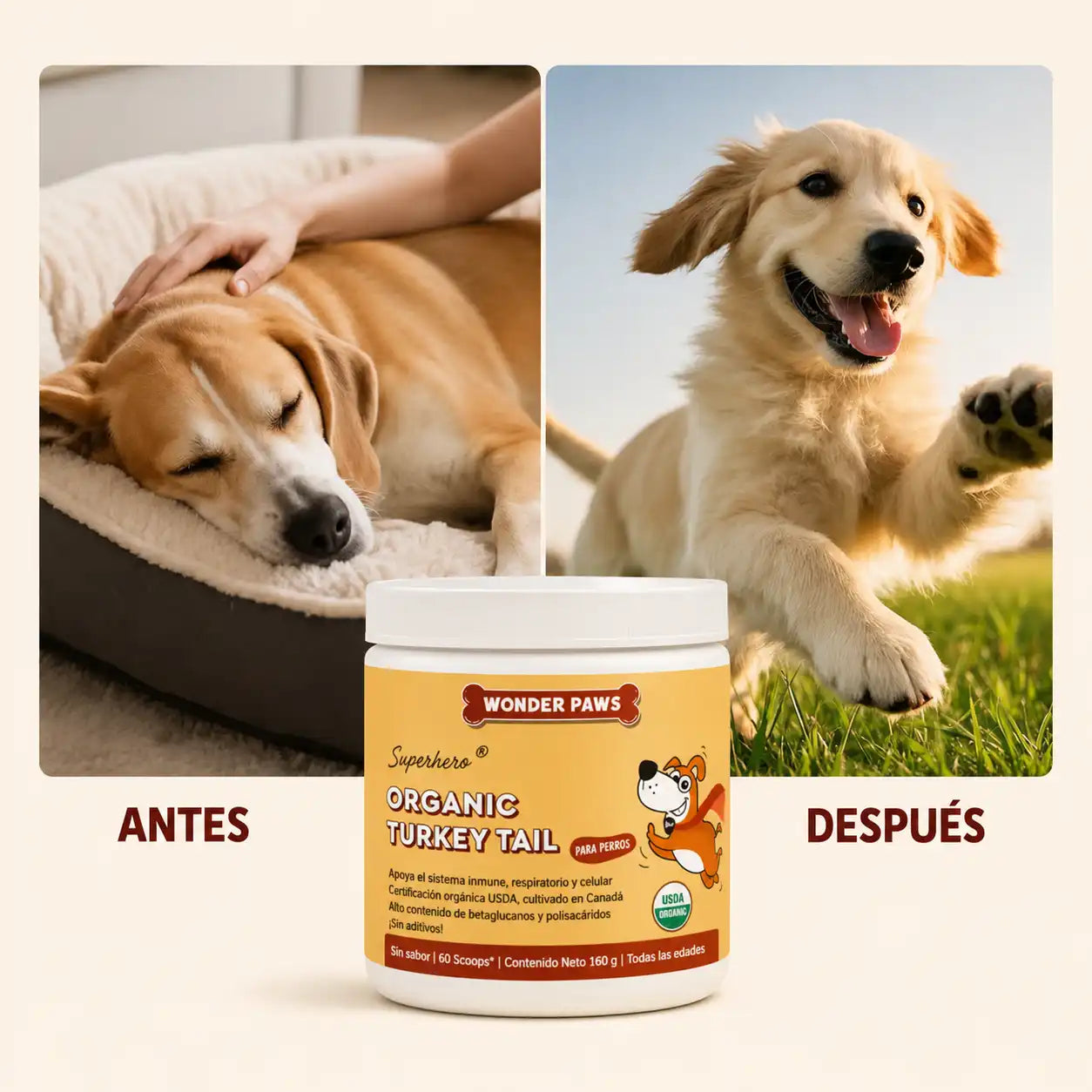 WONDER PAWS PREMIUM || Mascotas más fuertes y protegidas por dentro